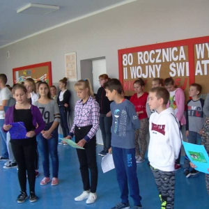 pokaż obrazek - 