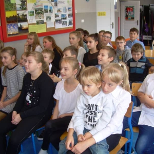 pokaż obrazek - 