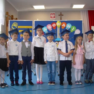 pokaż obrazek - 