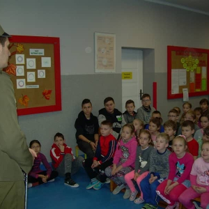 pokaż obrazek - 