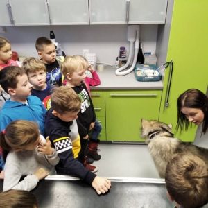 pokaż obrazek - 