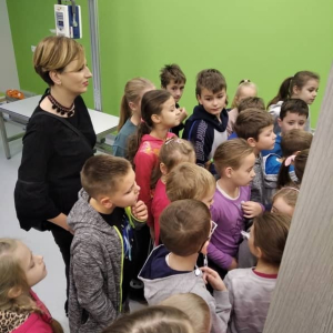 pokaż obrazek - 
