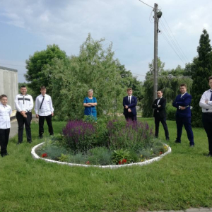 pokaż obrazek - 