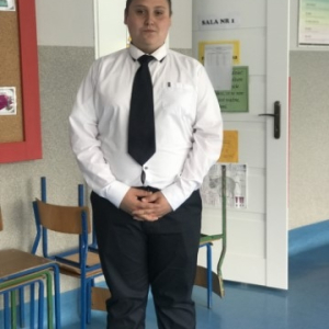 pokaż obrazek - 