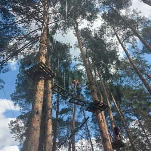 pokaż obrazek - 