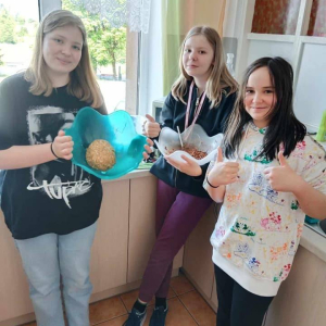 pokaż obrazek - 