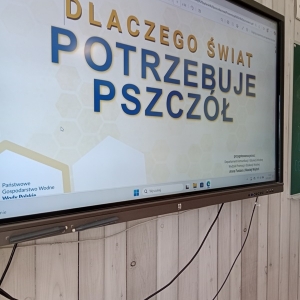 pokaż obrazek - 