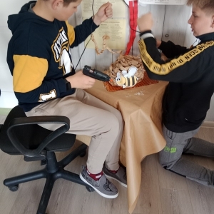 pokaż obrazek - 