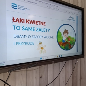 pokaż obrazek - 