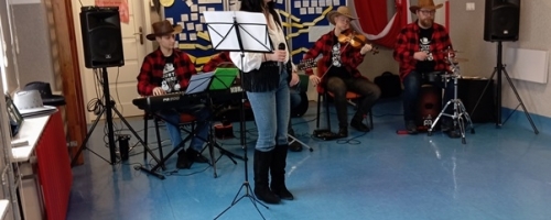 Arte Muza - muzyka country