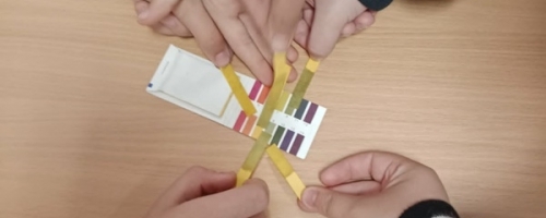 Nauka przez doświadczenie w programie „Z Pandą”