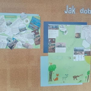 pokaż obrazek - 