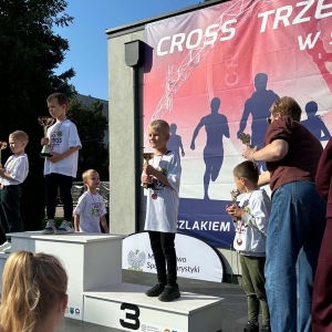 pokaż obrazek - 